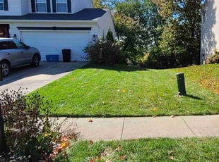 Wade J.'s Lawn Service service result