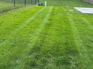 Brandon W.'s Lawn Mowing service result