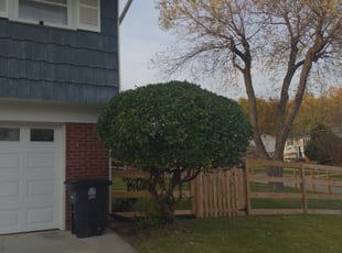 Bush Trimming by Danny Randall for Quincy J. in Fort Washington, MD