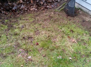 Cleanups by Coben Varland for Mark K. in Bothell, WA