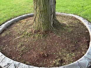 Jeff M.'s Weeding service result