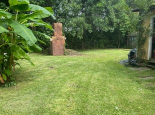 Cleanups by Tarri Taylor for Tiffany B. in Saint Martinville, LA