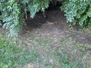 Leaf Removal by Scott Culala for Evelyn B. in Overland Park, KS