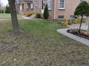 Leaf Removal by Marquis Kirksey for Sara H. in Milwaukee, WI