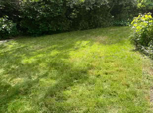 Andre O.'s Lawn Service service result