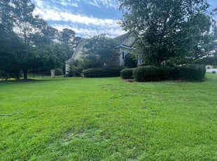 Bush Trimming by Erica Allen for Danny E. in Evans, GA