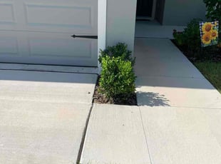 Bush Trimming by Jonathan Hopf for Wanda Ivette I. in Lakeland, FL