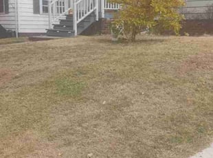 Leaf Removal by Lindsey Whaley for Isabella R. in Omaha, NE