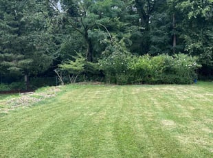 Armando C.'s Lawn Mowing service result