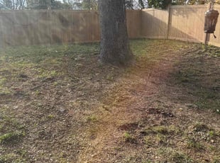 Leaf Removal by Rachel Lewis for Stacey H. in Baltimore, MD