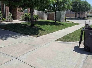 Erica L.'s Lawn Mowing service result