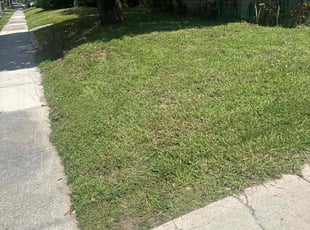 Constance B.'s Lawn Care service result