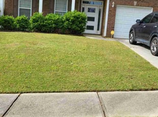 Cody M.'s Yard Cutting service result