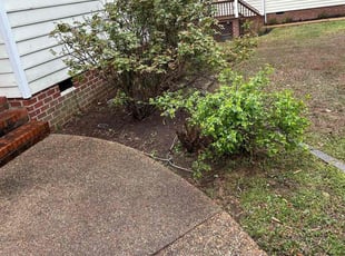 Leaf Removal by Joe Lee Jr for Dean R. in Midlothian, VA