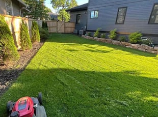 Quincy H.'s Grass Cutting service result