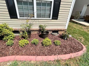 Weeding by James Ziobro for Sarah C. in Holly Springs, NC