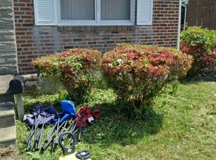 Bush Trimming by Maurice Downing for Maryam M. in Philadelphia, PA