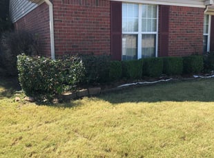 Bush Trimming by Mindy & Kenny Johnson for Barbara B. in Olive Branch, MS
