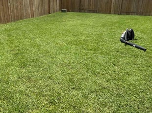 Matthew B.'s Yard Cutting service result