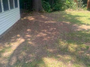 Leaf Removal by Karushoun Kelly for Michael h. in Jacksonville, AR