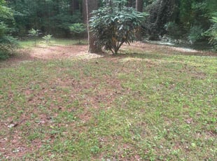 Cleanups by Khalid Muhammad for Laura W. in Durham, NC