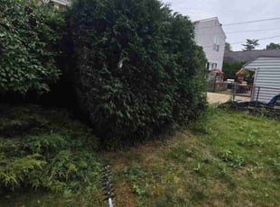 Bush Trimming by Kevin Estrada for Huong V. in Lyndhurst, OH
