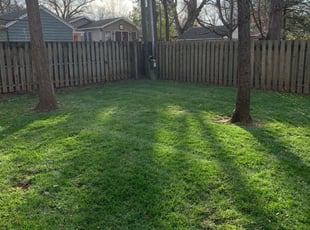 JAMES H.'s Lawn Mowing service result