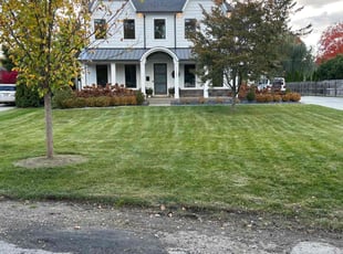 Pat M.'s Lawn Care service result