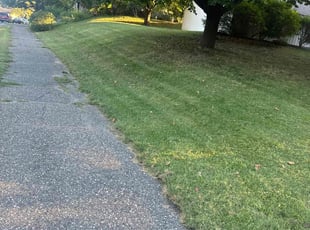 Kimberly V.'s Lawn Mowing service result