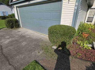Tawny f.'s Bush Trimming service result