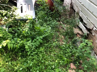 Cleanups by Yovani Hernandez for Rosa Linda M. in Dallas, TX