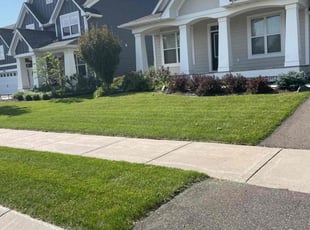 Paul r.'s Lawn Service service result