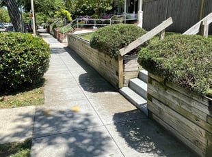 Bush Trimming by Fidel Rodriguez for Maria B. in Washington, DC