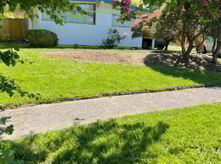 Weeding by Edgar Flores Ceja for James P. in Portland, OR