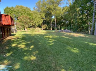 Randi G.'s Lawn Mowing service result