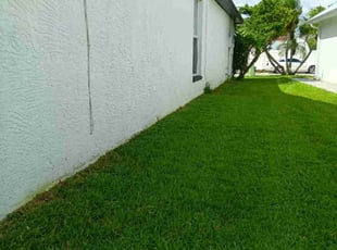 Paul B.'s Lawn Maintenance service result