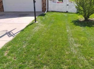 Leaf Removal by MICHAEL OFLAHERTY for Michael C. in Papillion, NE