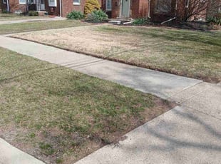 Leaf Removal by Patrick Hamilton for Hussein A. in Dearborn, MI