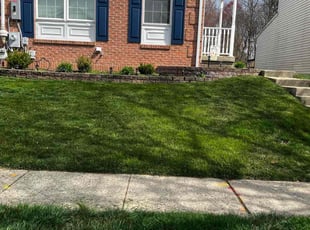 Beth H.'s Lawn Mowing Service service result