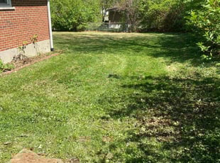 Cleanups by Keionna Robinson for Jonathan M. in Florissant, MO