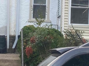 Bush Trimming by Moreno Santiago for Janette C. in Philadelphia, PA
