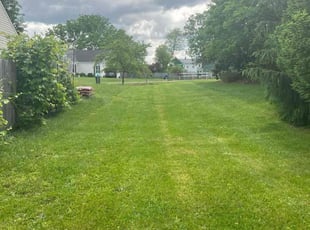 Pat M.'s Yard Cutting service result