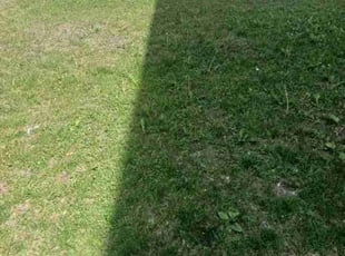 Landscaping by Mia St John for Sharon R. in Minneapolis, MN