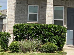 Bush Trimming by Lacy Dixon for Jordan J. in Converse, TX