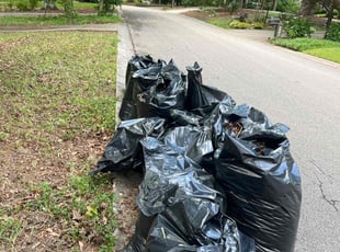 Leaf Removal by Mohamed Benjalil for Bryan H. in Raleigh, NC
