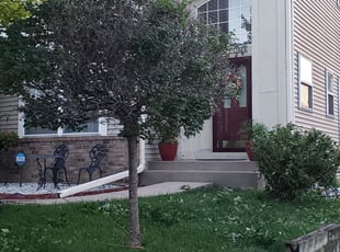 Bush Trimming by Kevin Meysembourg for Arun S. in Maple Grove, MN