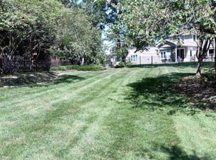 Dan S.'s Leaf Removal service result