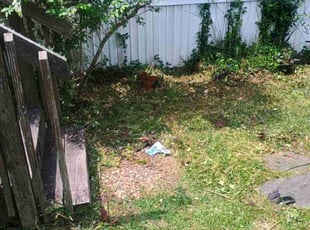 Bush Trimming by Isaac Varnish for King S. in Summerville, SC
