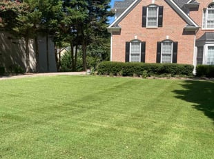 Jin O.'s Lawn Care service result