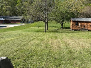 Jeremy D.'s Lawn Service service result
